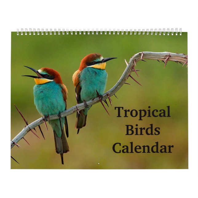 Tropische Vögel Kalender (Titelbild)