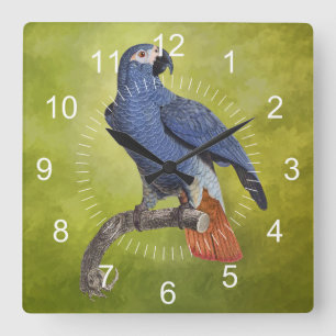 Tropische Vögel Vintage-Papageien-Illustration Quadratische Wanduhr