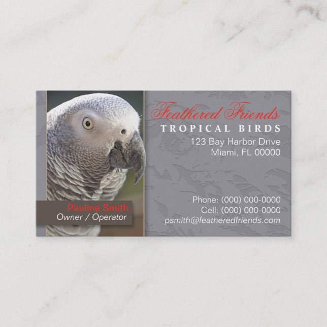 Tropische Vogel-Visitenkarte Visitenkarte (Vorderseite)