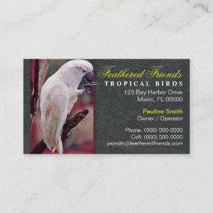 Tropische Vogel-Visitenkarte Visitenkarte