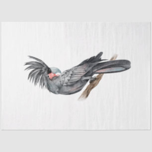 Tropische Vogelreihe: Palmenpapagei Seidenpapier