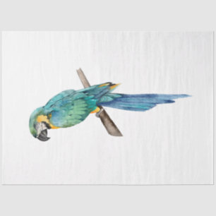 Tropische Vogelserie: Blauer Ara Seidenpapier
