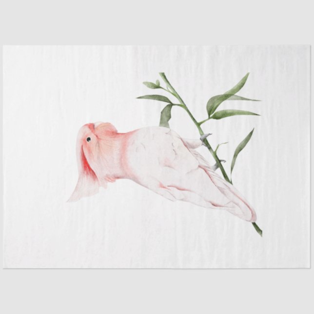 Tropische Vogelserie: Große Mitchells Seidenpapier (Vorderseite)