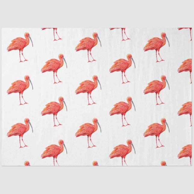 Tropische Vogelserie: Scarlet Ibis Design 2 Seidenpapier (Vorderseite)