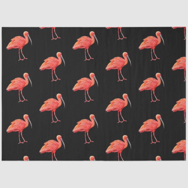 Tropische Vogelserie: Scarlet Ibis Design 3 Seidenpapier (Vorderseite)