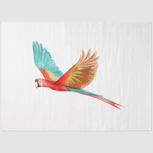 Tropische Vogelserie: Scarlet Macaw Seidenpapier (Vorderseite)