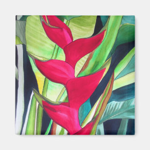 Tropische Wasserfarbe-Blume des Heliconia Magnet