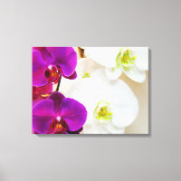 Tropische weiße Orchideen Nummer drei