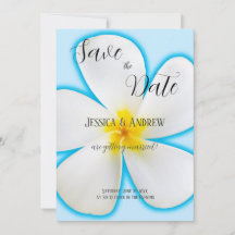 Tropische, weiße Plumeria auf blau, blumenreich, H