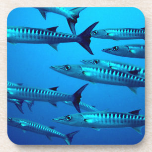 tropische Welle des Untersetzer