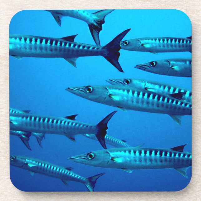 tropische Welle des Untersetzer (Vorderseite)