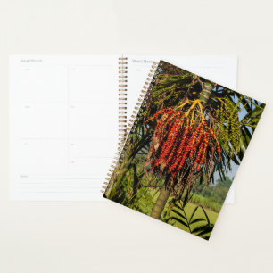 Tropischer Bali-Palmenfrucht-Planer Planer