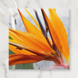 Tropischer Bird of Paradise Geschenkanhänger