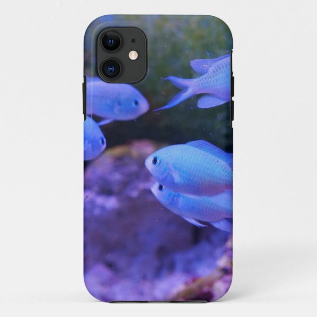 Tropischer Blauer Fisch Case-Mate iPhone Hülle (Rückseite)