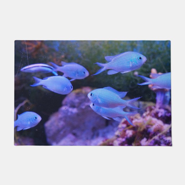 Tropischer Blauer Fisch Fußmatte (Vorderseite)