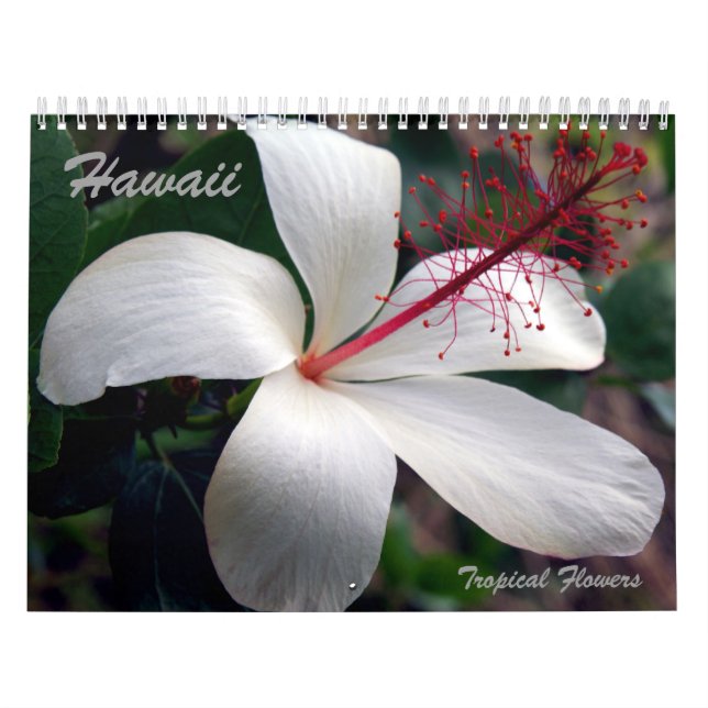 Tropischer Blumen-Kalender Hawaiis Kalender (Titelbild)