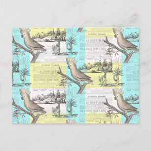 Tropischer Cockatoo-Traum Postkarte