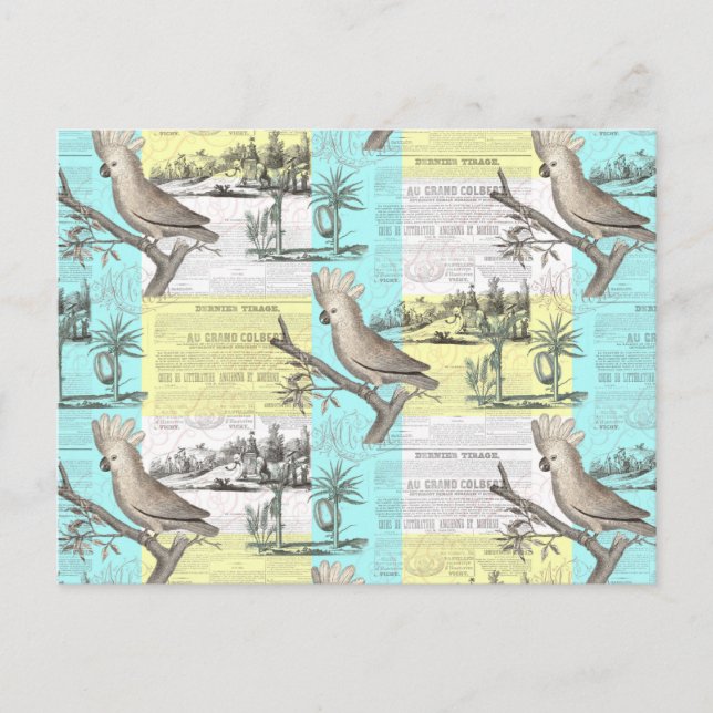 Tropischer Cockatoo-Traum Postkarte (Vorderseite)