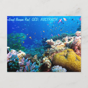 Tropischer Fisch Großes Barrier Riff Korallenmeer Postkarte