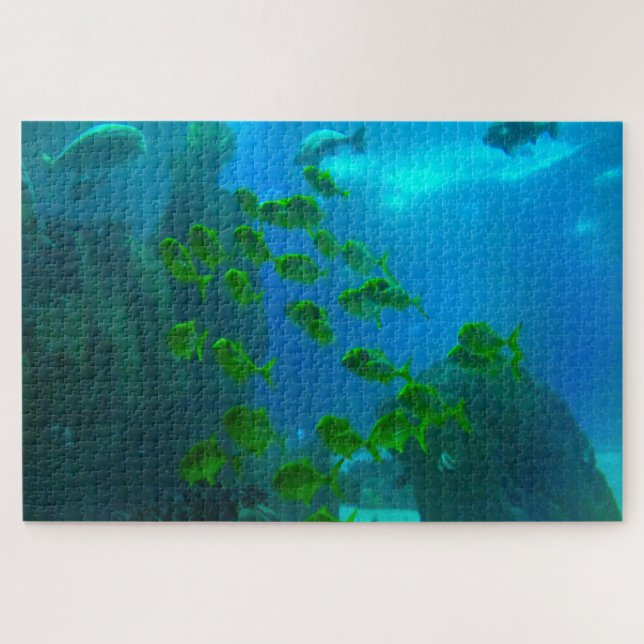 Tropischer Fisch in einem Aquarium. Jigsaw Puzzle (Horizontal)