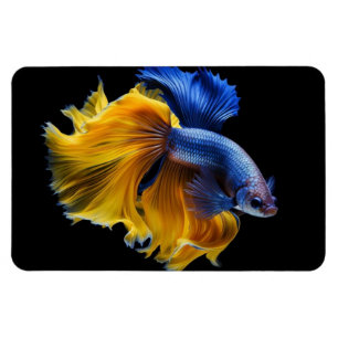 Tropischer Fisch Magnet