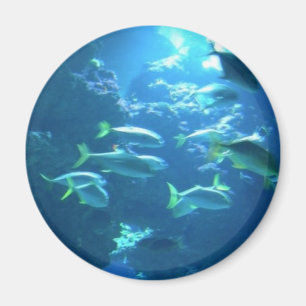 Tropischer Fisch Magnet
