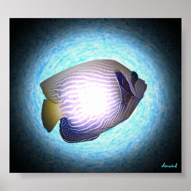 Tropischer Fisch Poster (Vorne)