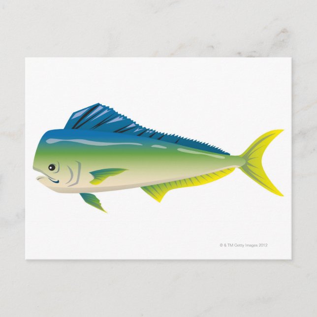 Tropischer Fisch Postkarte (Vorderseite)