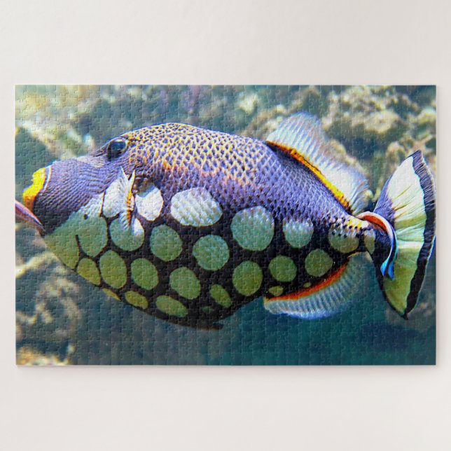Tropischer Fisch Puzzle (Horizontal)