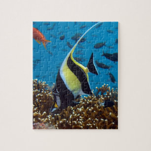 Tropischer Fisch Puzzle