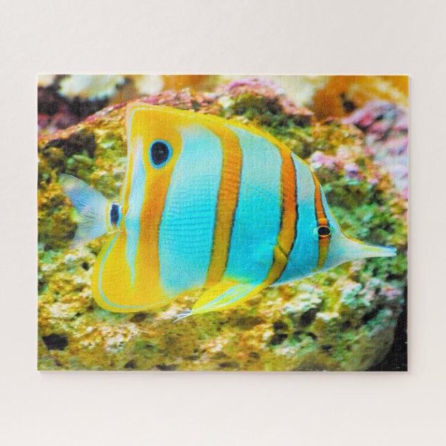 Tropischer Fisch Puzzle (Horizontal)
