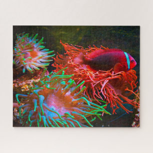 Tropischer Fisch Puzzle