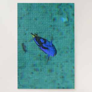 Tropischer Fisch. Puzzle