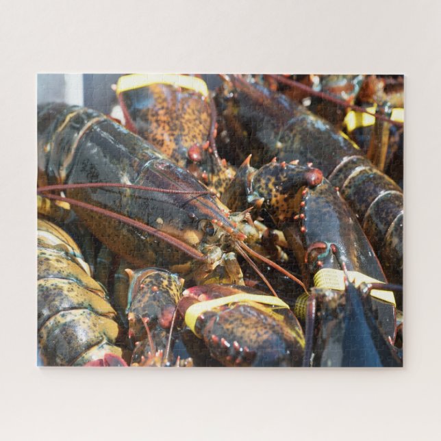 Tropischer Fisch Puzzle (Horizontal)