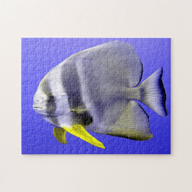 Tropischer Fisch Puzzle (Horizontal)