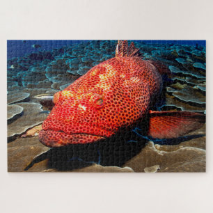 Tropischer Fisch Puzzle