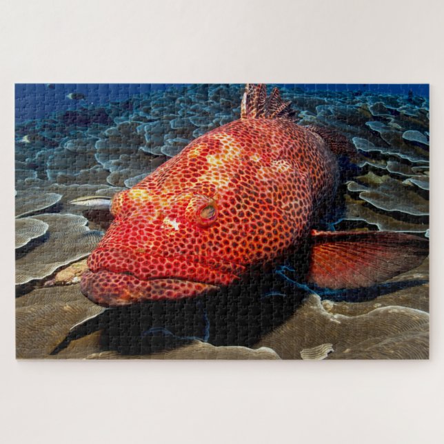 Tropischer Fisch Puzzle (Horizontal)