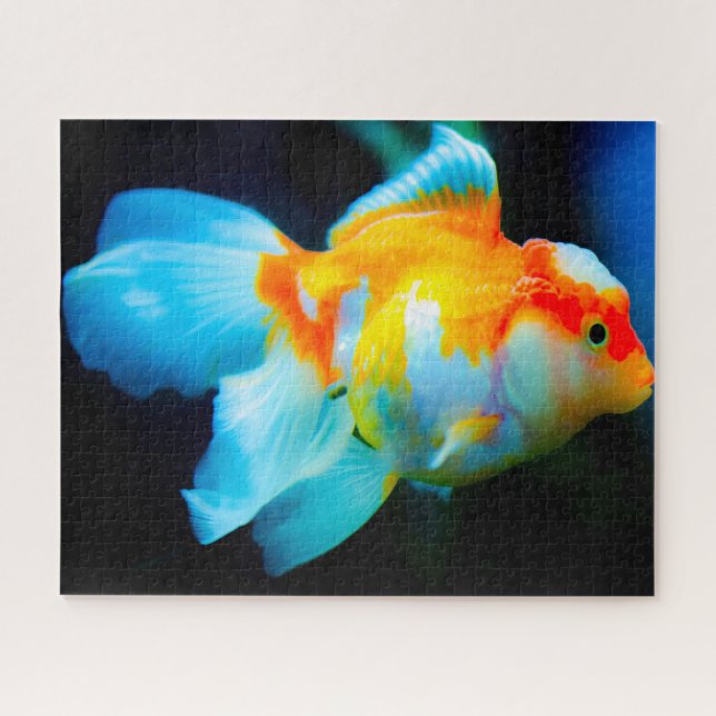 Tropischer Fisch Puzzle (Horizontal)