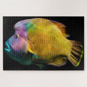 Tropischer Fisch Puzzle
