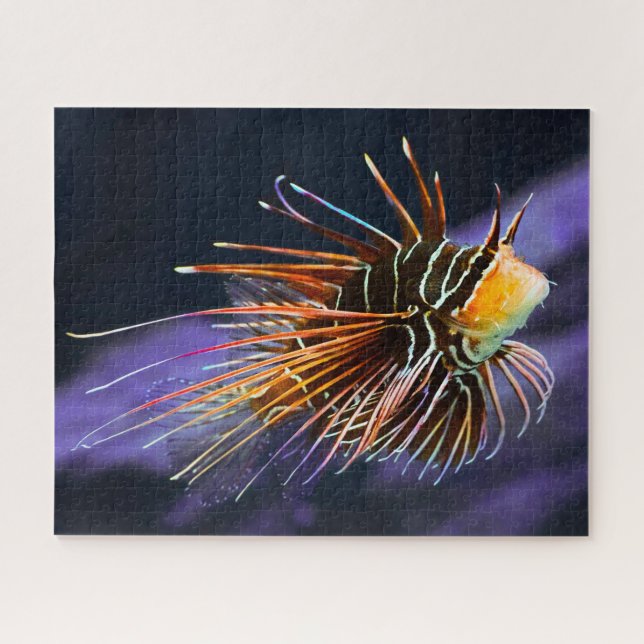 Tropischer Fisch Puzzle (Horizontal)