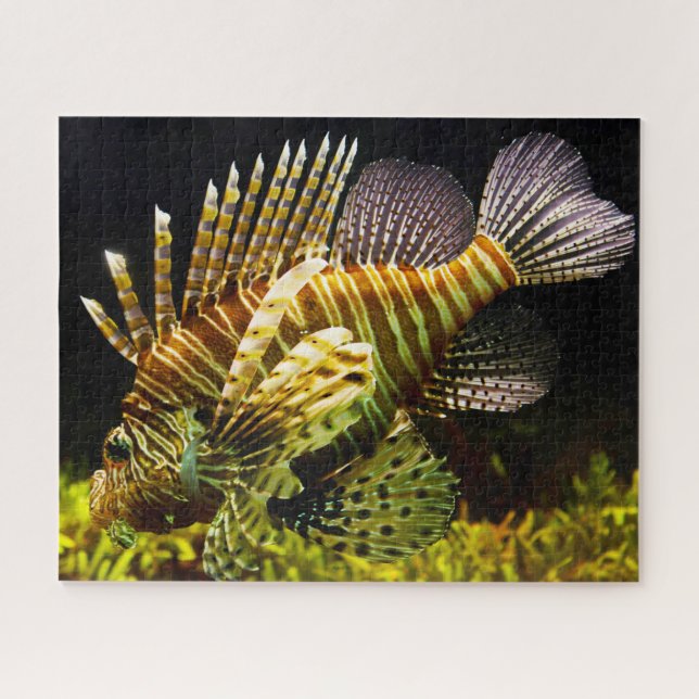 Tropischer Fisch Puzzle (Horizontal)