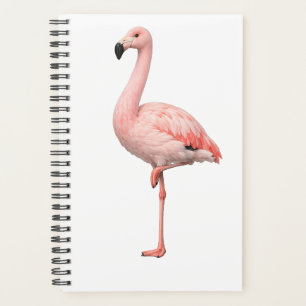 Tropischer Flamingo und Macaw-Papagei-Doppelcover Planer