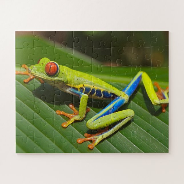 Tropischer Frosch Puzzle (Horizontal)