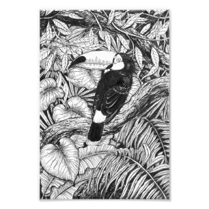 Tropischer Garten Fotodruck