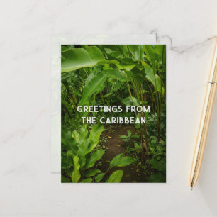 Tropischer Garten, Karibik Reise Postkarte