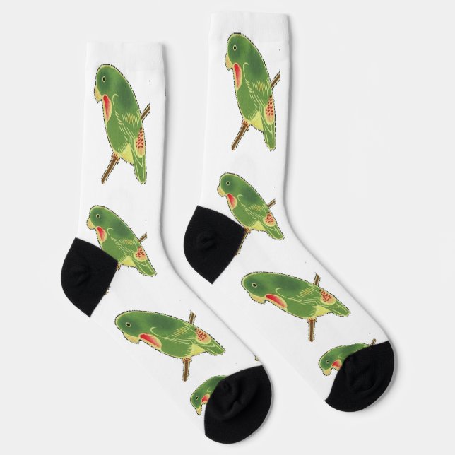 Tropischer Grüner Sittich Thunder_Cove Socken (Rechts)