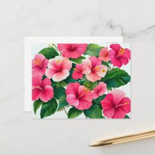 Tropischer Hawaii-Hibiskus in Rosa und Weiß Postkarte