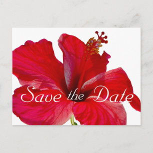 Tropischer Hibiskus, der Save the Date Wedding ist Ankündigungspostkarte