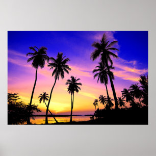 Tropischer Insel-Sonnenuntergang über Sri Lanka Poster