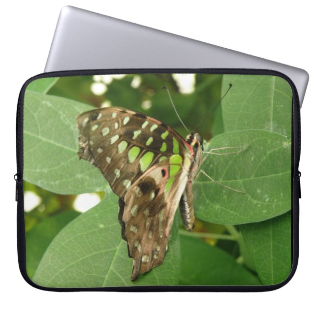 Tropischer, irrisierender grüner Schmetterling-Lap Laptopschutzhülle (Vorderseite)
